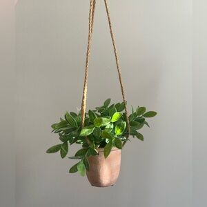 faux hanging potted plant